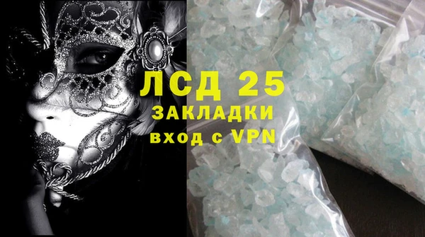 ГАЛЛЮЦИНОГЕННЫЕ ГРИБЫ Арсеньев