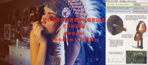 МДПВ Аркадак