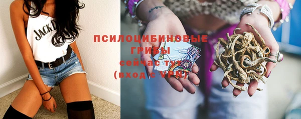 МДПВ Аркадак
